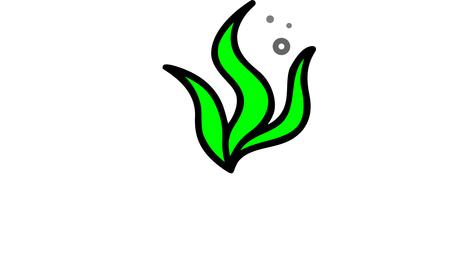 Limukai – Surfando à sustentabilidade