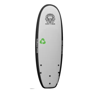 prancha_ecoboard-300x300 Equipamento